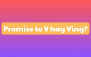 promise to v hay ving
