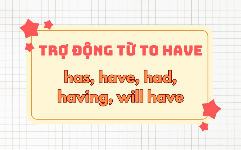 cách dùng trợ động từ to have