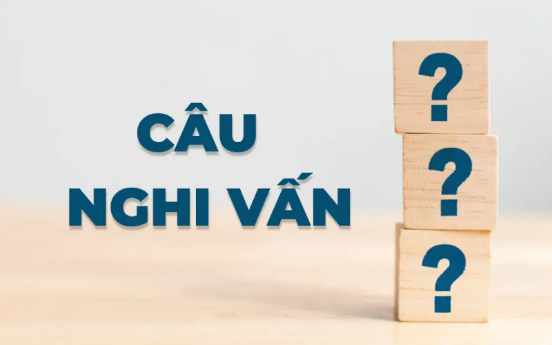 trợ động từ câu nghi vấn