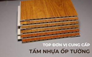 Top đơn vị cung cấp tấm nhựa ốp tường